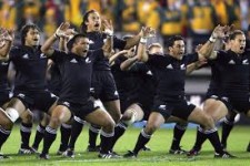 All Blacks Shorts Odds To Win Bledisloe Cup