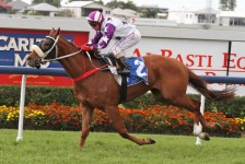 Hawkspur Heads Caulfield Cup Betting