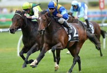 It’s A Dundeel Backed To Upset Atlantic Jewel In Underwood Stakes