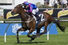 Toydini & Boban Remain Favourites For Epsom Handicap