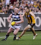 Hawthorn Firm Favourites For AFL Flag