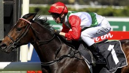 Rebel Dane Blows In Rupert Clarke Betting