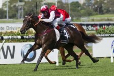 Sidestep To Firms Golden Rose Stakes