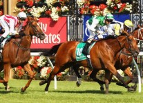 Speediness Well Backed To Back To Back In Rupert Clarke Stakes