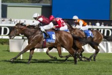 Guelph Set To Win Flight Stakes