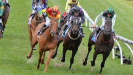 $100 To 1 Shot Wins 2013 Cox Plate